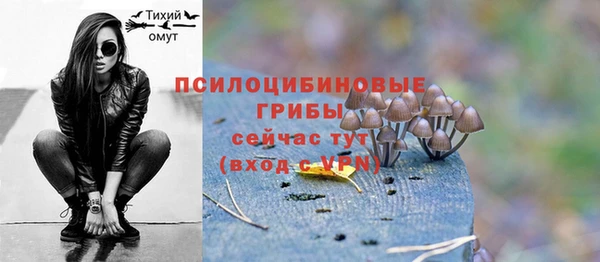 тгк Бугульма