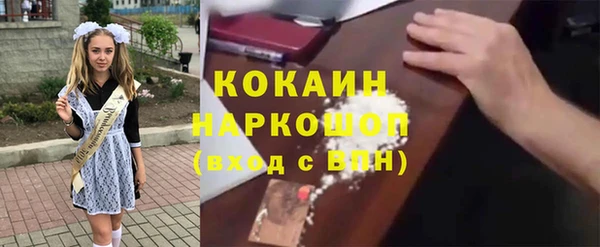 стаф Бородино