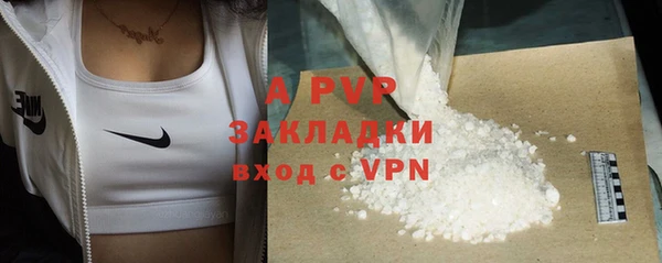 стаф Бородино