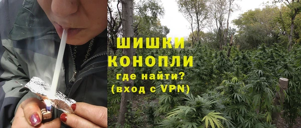 стаф Бородино