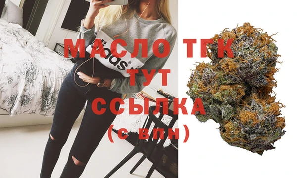стаф Бородино