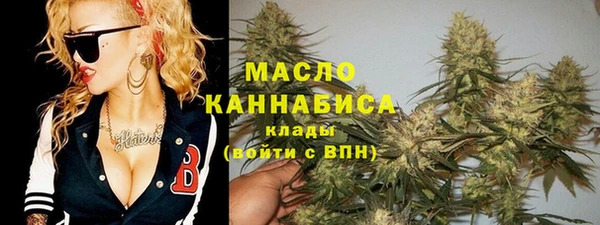 стаф Бородино