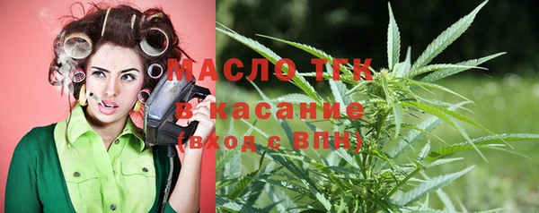 стаф Бородино