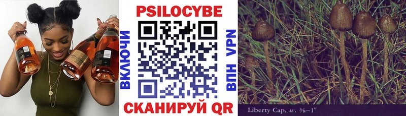 Купить где  Выборг  Псилоцибиновые грибы мухоморы 